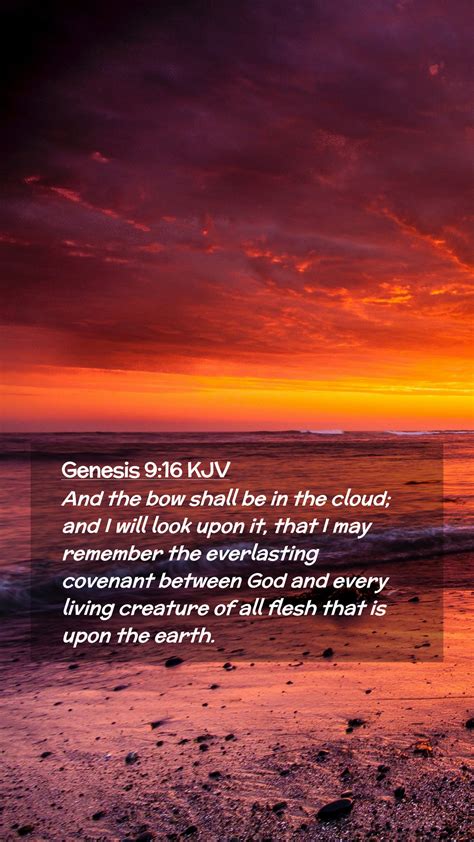 Genesis 916 Kjv Mobile Phone Wallpaper And The Bow Shall Be In The