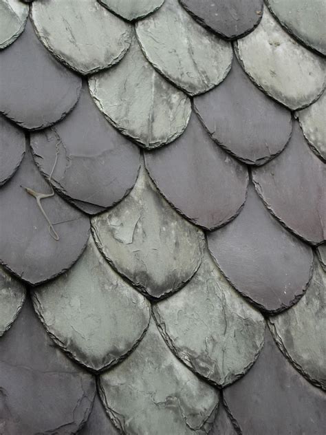 Fish Scale Roof Shingles Life Of A Roof