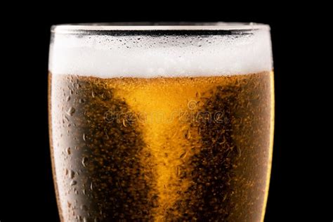 Glass Of Fresh Beer Isolated Stock Photo Image Of Light Black 175736420