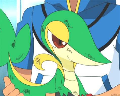 Snivy Wiki •pokémon• En Español Amino