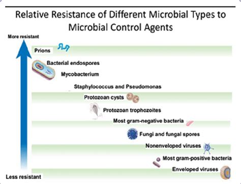 Relative Resistance Of Different Microbes To Anti Microbial Agents