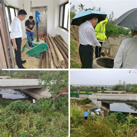 黄冈市生态环境局调研督导巴河水环境治理工作 湖北省生态环境厅