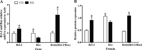 A Relative Expression Levels Of Bcl 2 And Bax Mrna In The Eg Group Vs Download Scientific