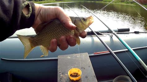 Ловля карася на Секретном озере. Карась на поплавочную удочку - YouTube