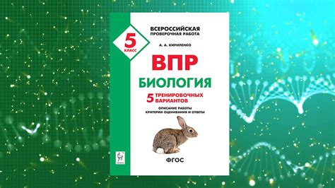 Впр по биологии 5 класс 2024 подготовка
