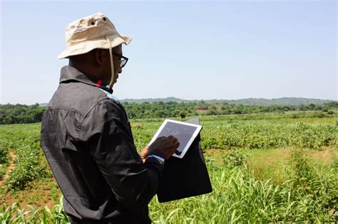 Feed The Future Guinea Strengthening Agriculture Value Chains And Youth