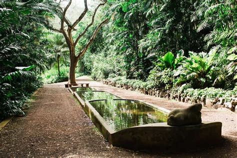 Kauai Allerton Garden And Estate Tour With Sunset Dinner Getyourguide