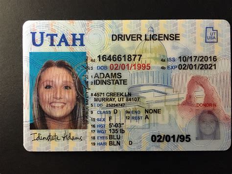 Best Place To Get A Fake Id Usa Legit Fake Id