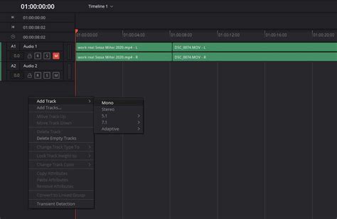 How To Record A Voice Over Or Audio In Davinci Resolve