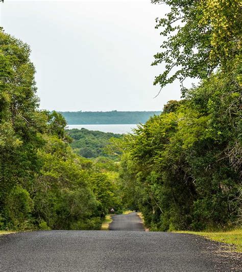 Isimangaliso Wetland Park Plan Your Trip