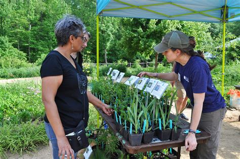 Spring Native Plant Sale At Nc Botanical Garden