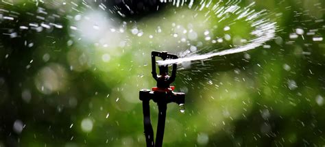 6 Best Sprinklers For A Small Lawn Reviewed Spring 2023