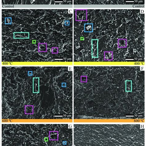 Microstructure Of Charcoal Reinforced Polyester Matrix Biocomposites