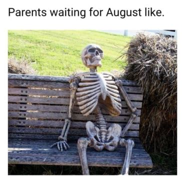 15 Funny August Memes That Are Absolute Gold In 2025