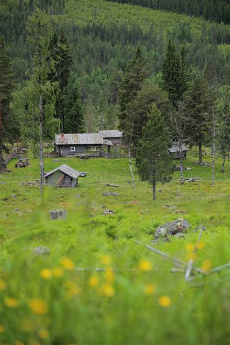 Ransbysaetern Un Chalet Tradicional En Vaermland Suecia Imagen De