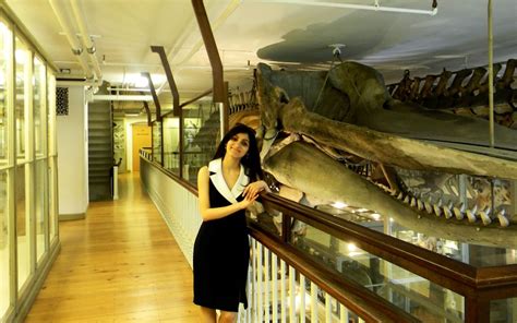 harvard university natural history museum | How to Get into Harvard