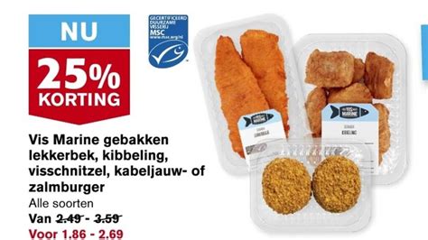 Vis Marine Gebakken Lekkerbek Kibbeling Visschnitzel Kabeljauw Of