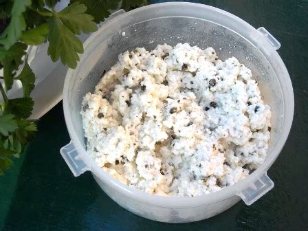 Home-made cottage cheese a cheese recipe