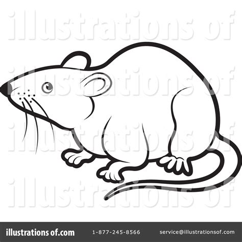 Cute Rat Drawing at GetDrawings | Free download