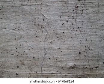 Light Grey Wall Texture Stock Photo 649869124 | Shutterstock