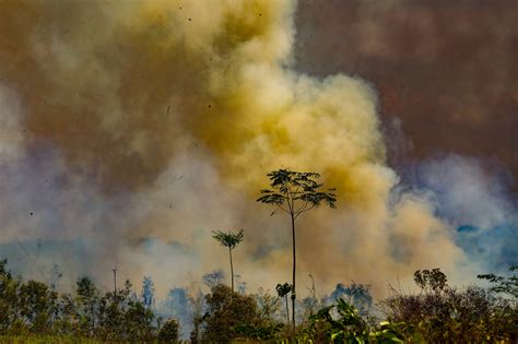 Como O Meio Ambiente Afetado Pela Queima De Combustiveis Librain