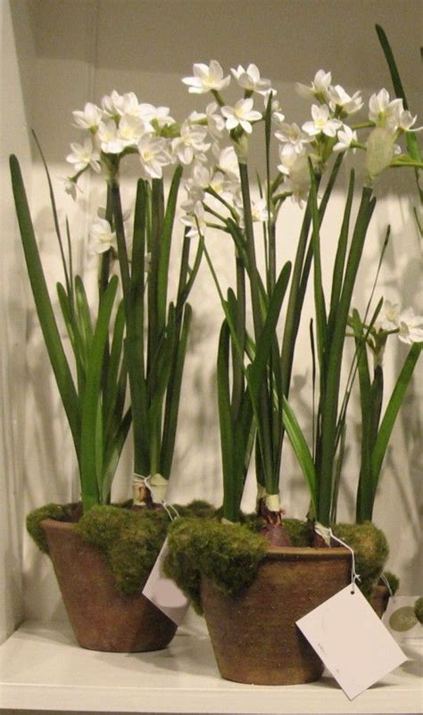 Artificial Silk Flower Paperwhites Narcissus Daffodils Jonquils