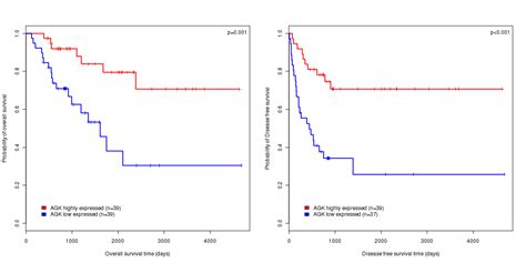 Comparison Of Survival Time Between AGK Higher Expression Level And AGK