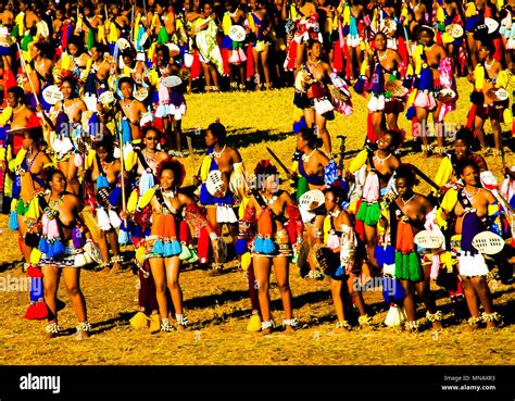 Swaziland Reed Dance Stock Photos & Swaziland Reed Dance Stock Images ...