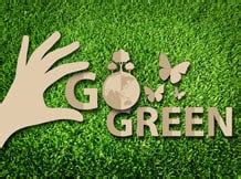 Go Green This Environment Day Business Standard News