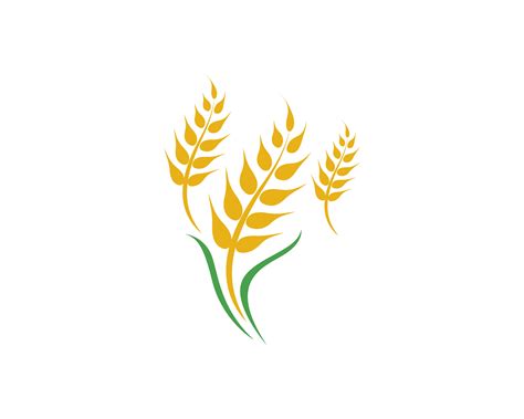 Agriculture wheat vector 586128 Vector Art at Vecteezy