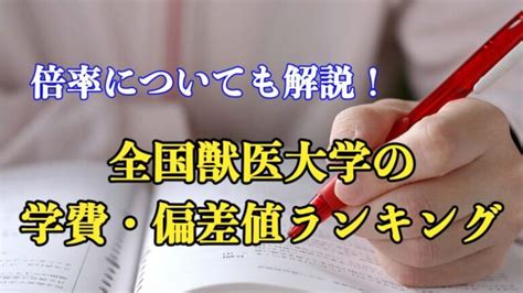 【小中学生向け】獣医師の仕事を体験したい！気軽に体験できる方法を大紹介！ Mva