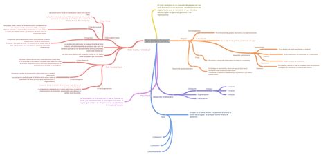 Ciclo Biológico Humano Etapas Desarrollo Embrionario Nidación Es La