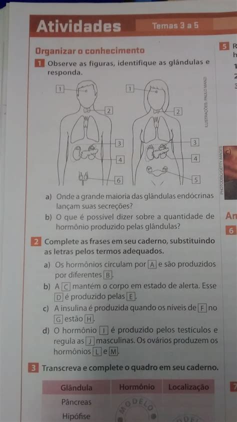 Atividade Sobre Sistema End Crino Retoedu