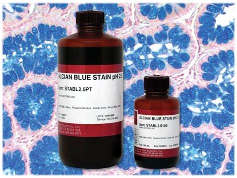 Statlab Mastertech Alcian Blue Stain Mastertech Alcian Blue Stain