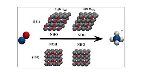 Structure And Coverage Sensitive Mechanism Of No Reduction On Platinum