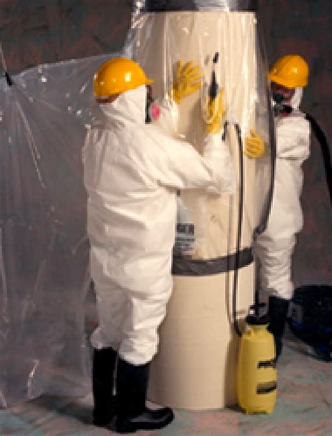 Avail® Glove Bags For Asbestos Abatement Ilc Dover