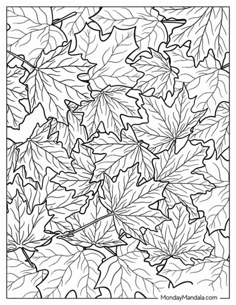 20 Fall Leaves Coloring Pages Free Pdf Printables