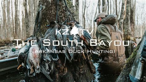 Ducks In The Bayou Arkansas Duck Hunting K Zone Tv The South