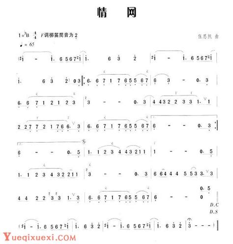 笛子流行金曲《情网》 笛子曲谱 乐器学习网