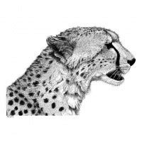 Lovely Dotwork Style Cheetah Portrait In Profile Tattoo Design