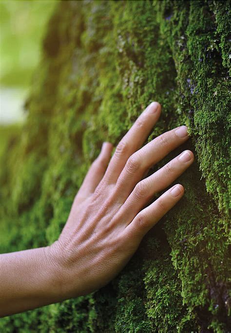 Natur Resilienz Trainer In