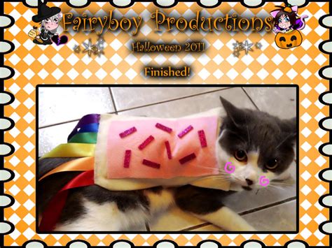 Nyan Cat Costume by LunarFoxDesigns on DeviantArt