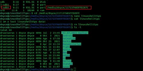 How To Recover Lost And Deleted Data In Linux