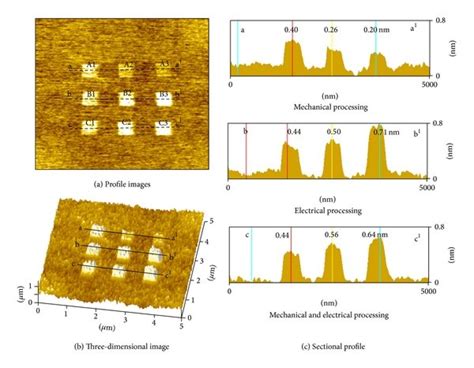 AFM Profiles And Cross Sectional Images Of Surfaces Obtained By A