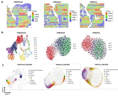 Fig S9 Spatial epigenome mapping of E11 mouse embryos with 20 µm