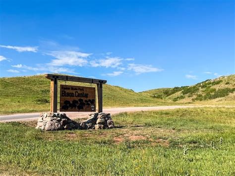 The Custer State Park Wildlife Loop: A Complete How-To