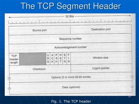 Ppt The Transport Layer Powerpoint Presentation Free Download Id607484