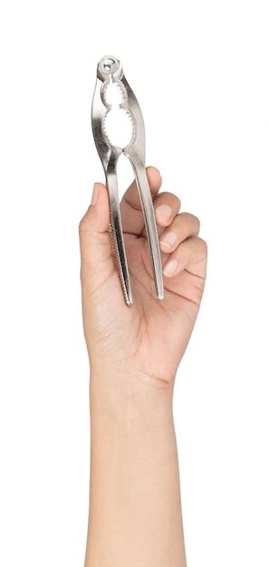 Premium Photo Hand Holding Pliers For Crabs Isolated On White Background