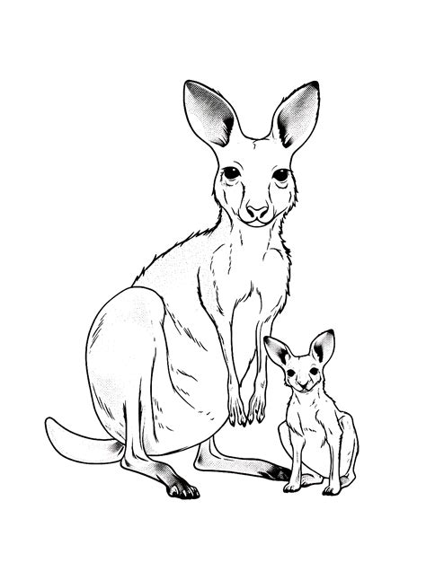 Cute Kangaroo And Baby Kangaroo Coloring Page Free Printable Coloring