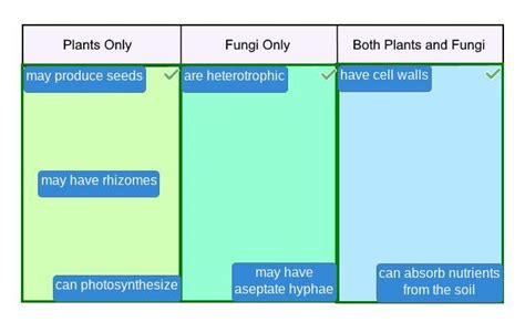 Classify The Characteristics By Whether They Describe Plants Only